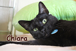 Chiara