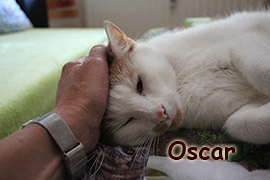 Oscar