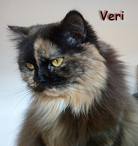 Veri